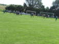 SV Leusel - FSG Kirtorf 1-1 23