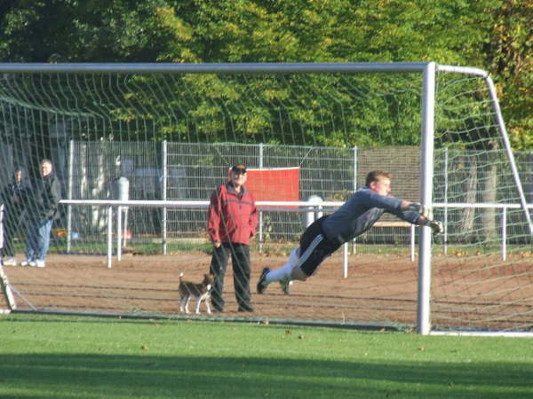 TSV Allendorf-Lahn - SV Leusel 4-2 16
